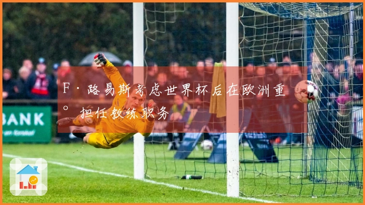 F·路易斯考虑世界杯后在欧洲重新担任教练职务