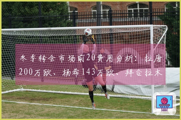 冬季转会市场前20费用分析：拉唐200万欧、杨希143万欧、拜合拉木80.5万