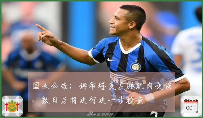 国米公告：姆希塔良左腿肌肉受伤，数日后将进行进一步检查