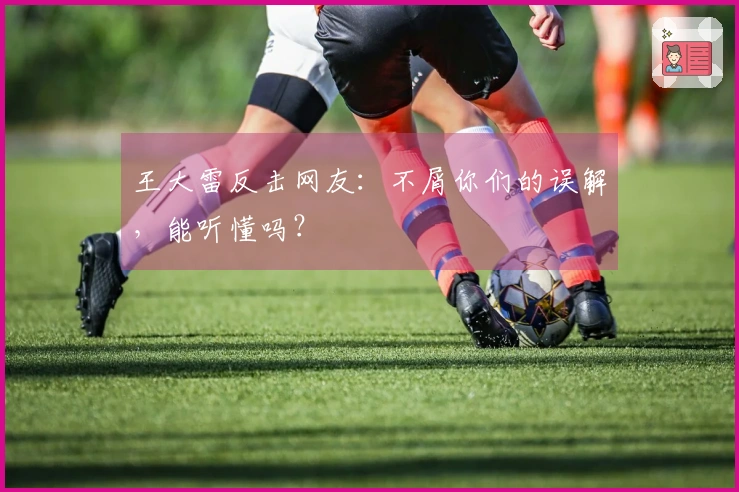 王大雷反击网友：不屑你们的误解，能听懂吗？