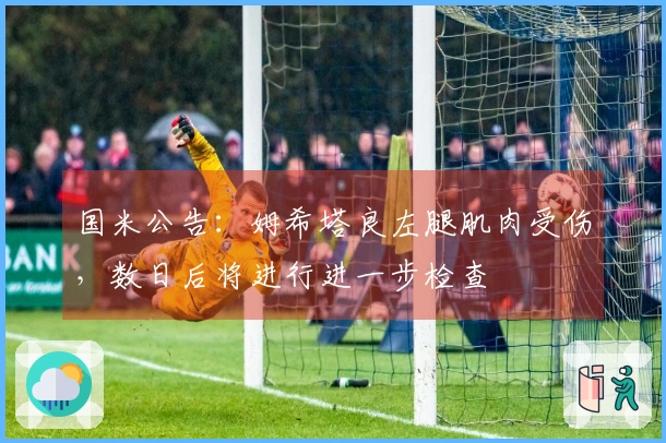 国米公告：姆希塔良左腿肌肉受伤，数日后将进行进一步检查