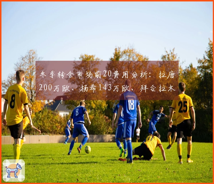 冬季转会市场前20费用分析：拉唐200万欧、杨希143万欧、拜合拉木80.5万